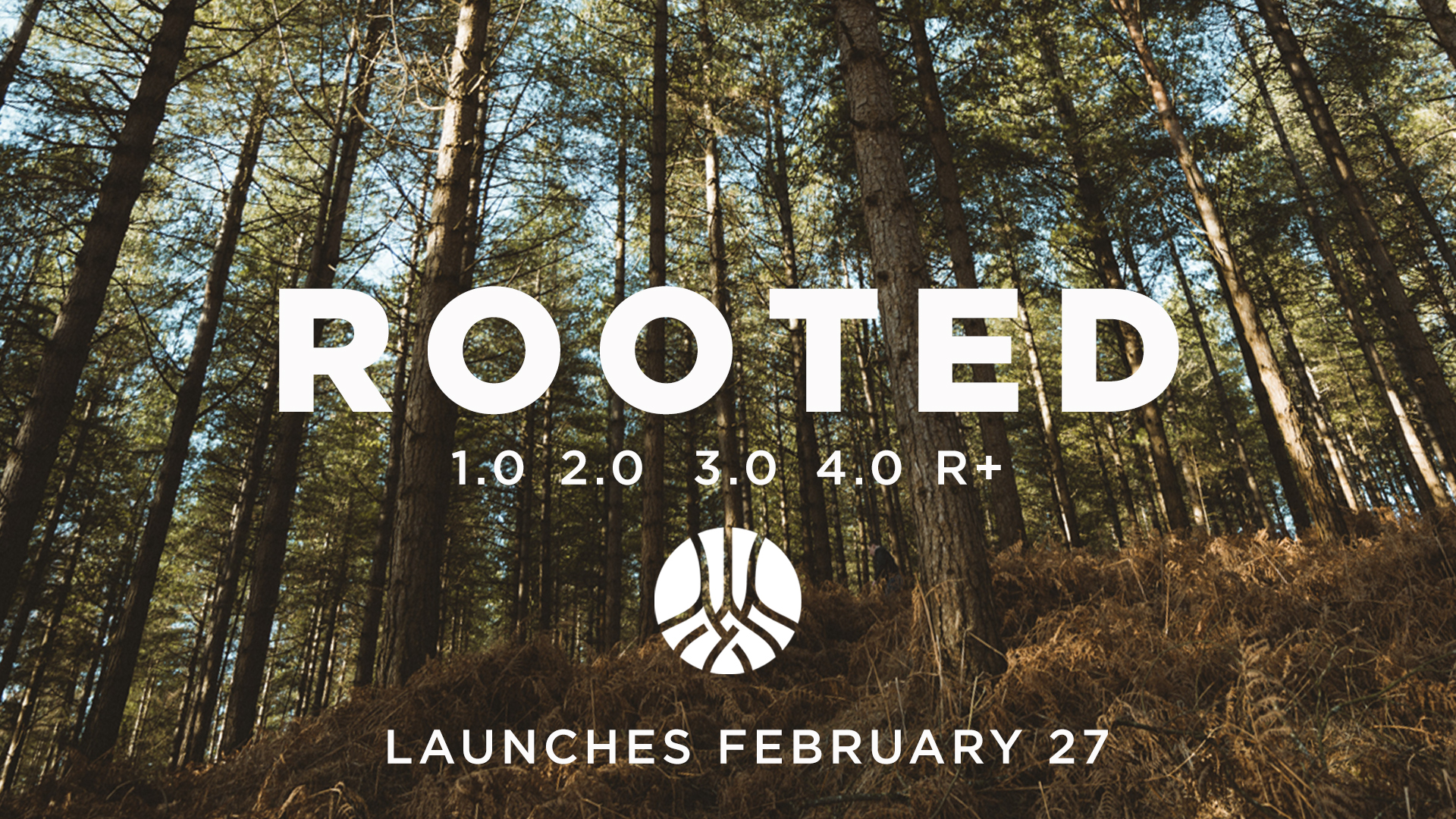 Rooted: Spring 2022
